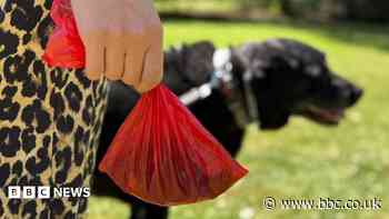 Dog walkers without poo bags to face £100 fines