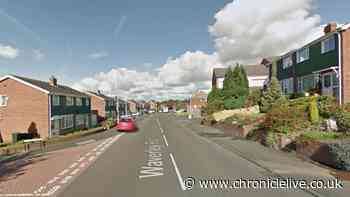 Career crook stole auntie's car then drove wrong way along A1 in police chase