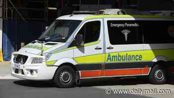 Worker fights for life after being crushed by bitumen roller in Sydney's northern suburbs