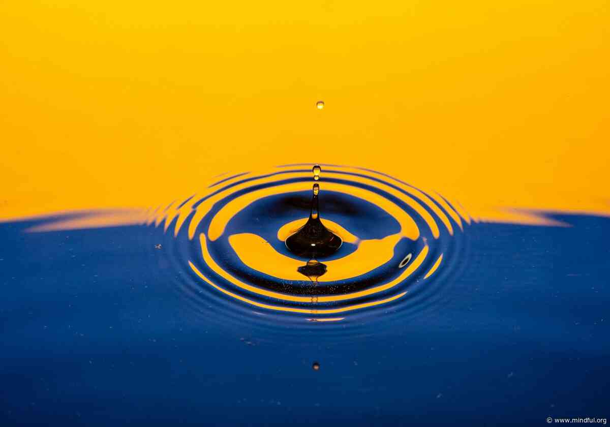 Our Practice Starts With Ourselves—But It Doesn’t End There