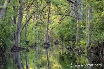 Wimberley ranch along Cypress Creek permanently protected through conservation easement