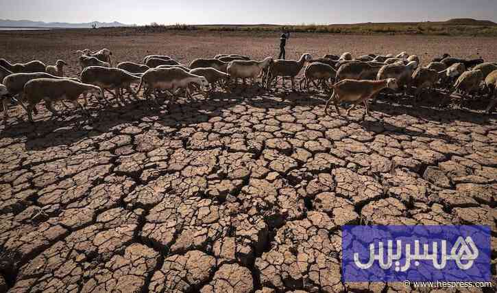 المغرب يوسع أبحاث الذكاء الاصطناعي لمواجهة مخاطر الإجهاد المائي