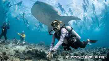 Revealed: The Ocean Photographer of the Year winners