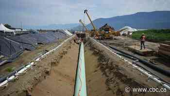 Liberals remove layer of review process for energy projects, backing off bypassing at-risk species protections