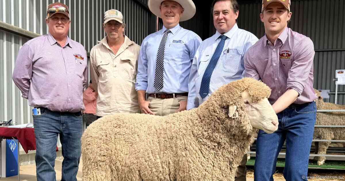 Overland's inaugural auction off to flying start with impressive $4075 average