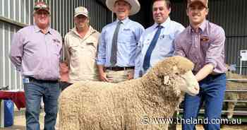 Overland's inaugural auction off to flying start with impressive $4075 average