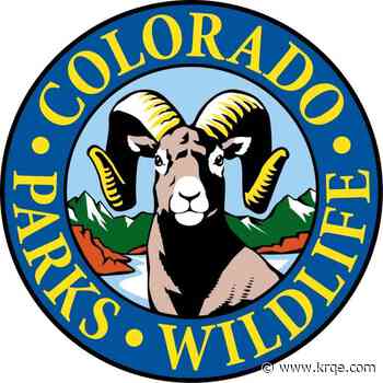 Sick bear euthanized in Durango