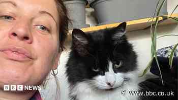 Pet loss stigma 'makes owners downplay their grief'