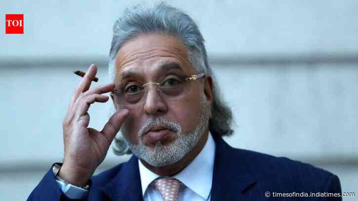 'Wonder if I should become a cockroach': Vijay Mallya cries 'injustice' over bank dues