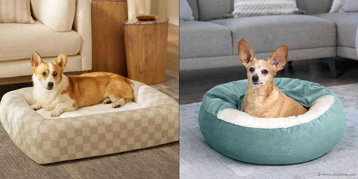 Does your dog really need its own bed?