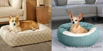 Does your dog really need its own bed?