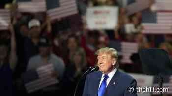Trump pledges $5K 'Trump dividend' if Republicans hold onto Congress