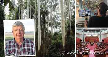 Great Koala Park impact on farm forestry as senate votes on Nationals' disallowance motion