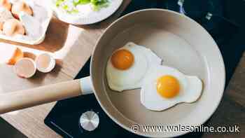 Fried eggs will be tastier if you ditch oil for 1 free ingredient that works wonders