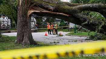 Tornado touched down in Winnipeg's River Heights neighbourhood Sunday night