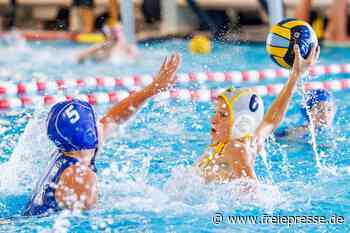 Wasserball: Warum der SVV Plauen eine vielversprechende Zukunft sieht