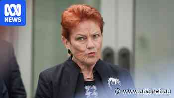 Major parties accused of 'madness' in immigration race with One Nation