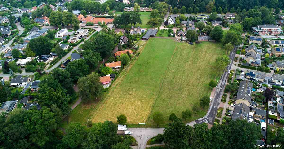 Er passen meer woningen dan gedacht op dit weiland in Gorssel