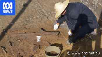 Fossil bones and tools from mysterious ancient human unearthed in China
