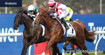 Race-by-race tips and previews for racing at Rosehill on Saturday