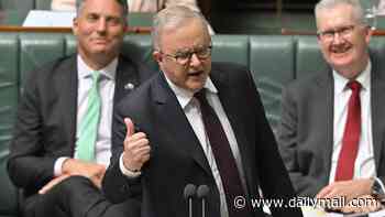Albanese government votes down One Nation bill to stop terrorist fighters from returning to Australia - as Pauline Hanson hits back