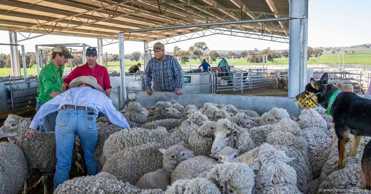 How Labor's 30pc trust tax grab could derail the farm family succession plan