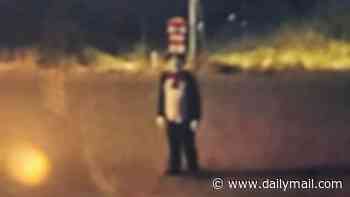 Creep wearing Cat in the Hat costume wanted for chasing teen girl as viral trend sparks concern among schools
