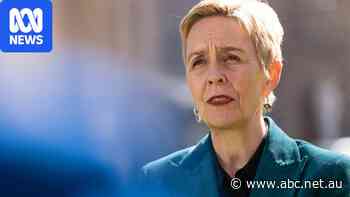 Commissioner 'deeply worried' by sexual violence trajectory