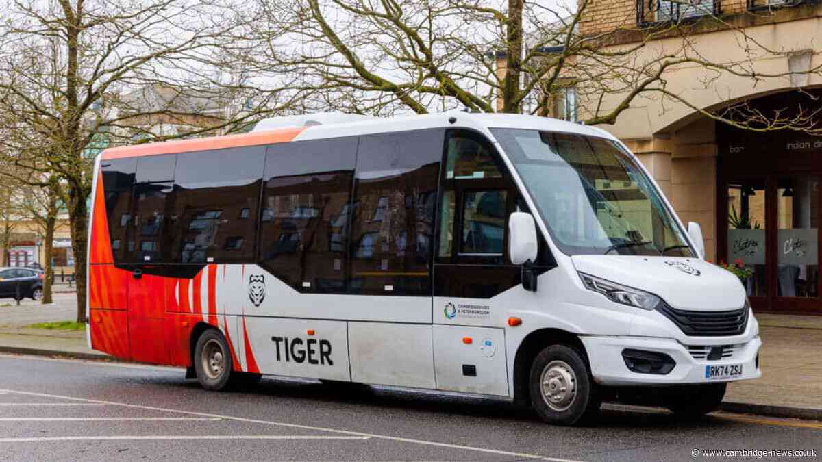 The 31 bus services facing shake-ups as stops dropped and timetables changed