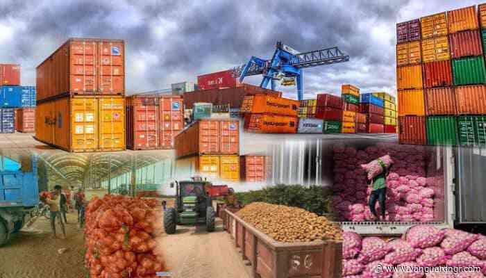 Nigeria must secure its agro-export future