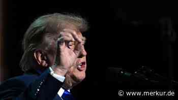 Trump will US-Bürger mit 5000 Dollar ködern: „Tut so, als stünde ich auf dem Wahlzettel“