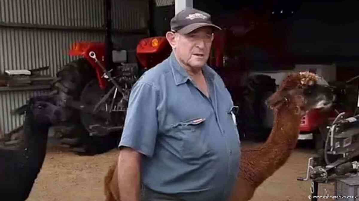 Man killed by pet in rare fatal attack as kangaroo blocks help from reaching him
