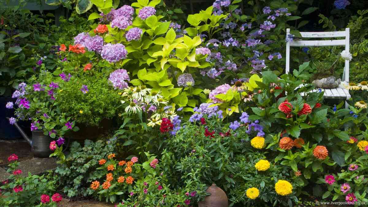Six tasks gardeners need to do this month or they'll regret it in spring