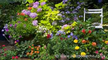 Six tasks gardeners need to do this month or they'll regret it in spring