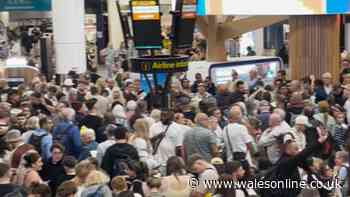 Welsh dad describes chaos at Gatwick airport after family holiday thrown into disarray