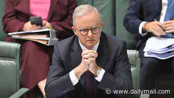 From sports rorts critic to golf club funds - how Anthony Albanese's defence made Labor's pork barrelling scandal worse: PETER VAN ONSELEN
