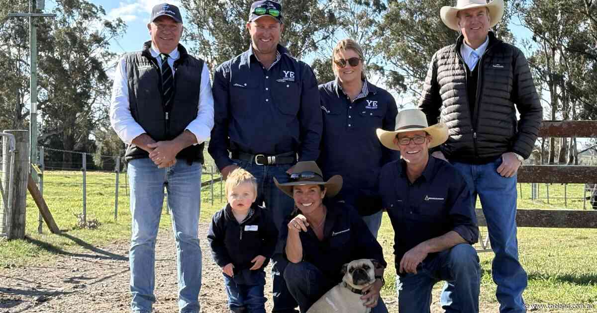 South Australian buyers snap up top-priced bull at Ben Nevis anuual sale