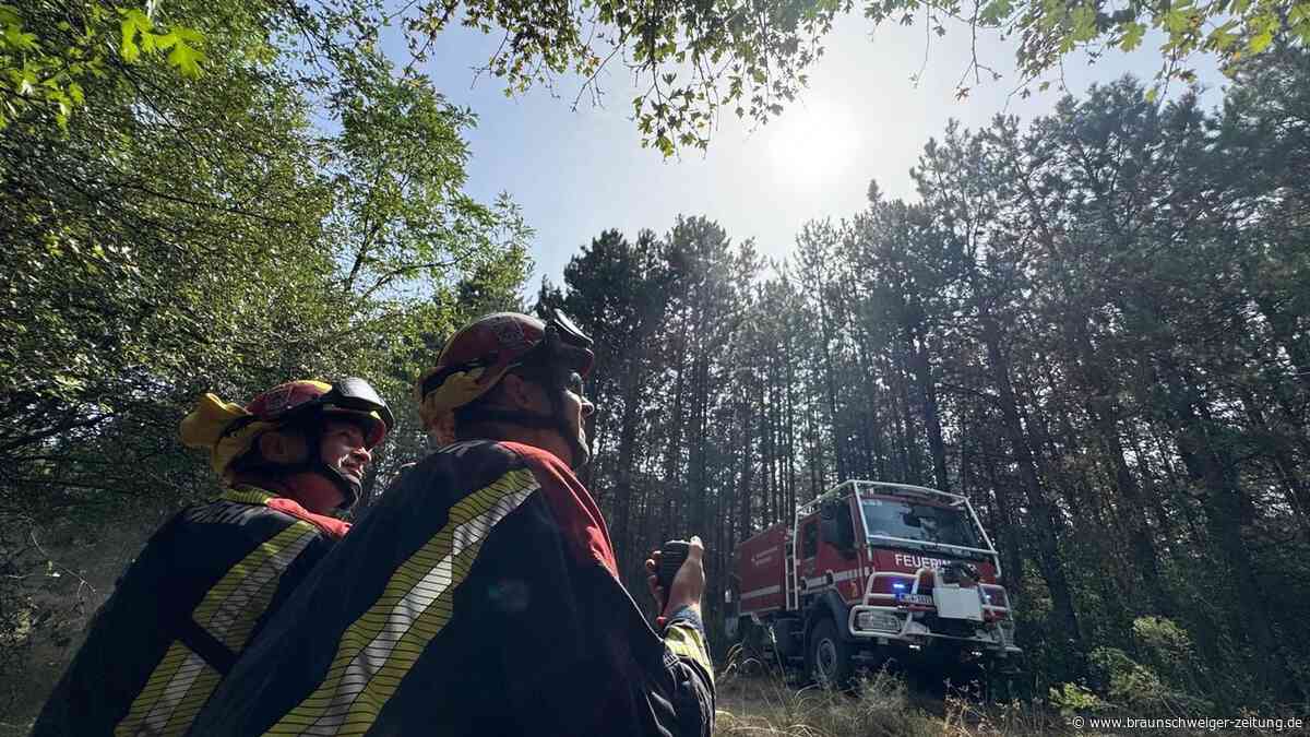 Gifhorner Feuerwehrmänner löschen bei Großflächenbränden in Serbien