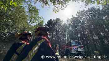 Gifhorner Feuerwehrmänner löschen bei Großflächenbränden in Serbien