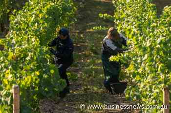 Migration obsession puts economy at risk, employers warn
