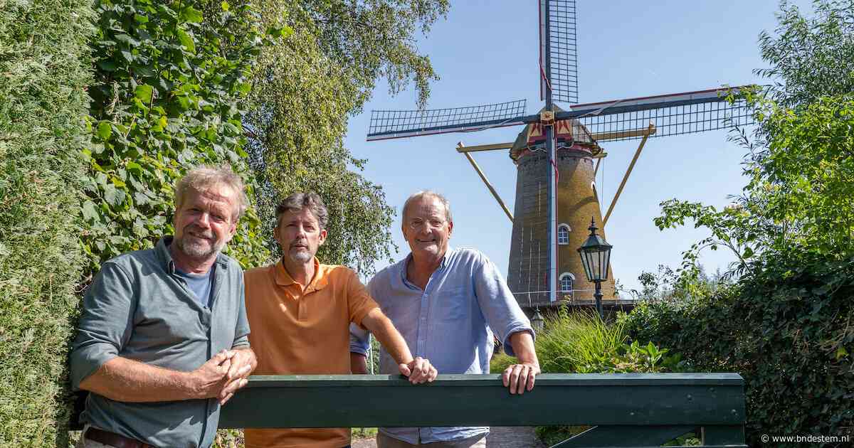 Zwaluwse molen heeft nieuwe wieken nodig, maar dat komt vast goed: ‘Een molen heeft een hoge gunfactor’