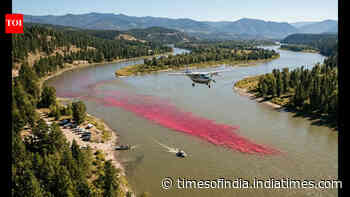 In 2017, USGS released 72.57 kg of dye into Idaho’s Kootenai River; aircraft tracked it from above
