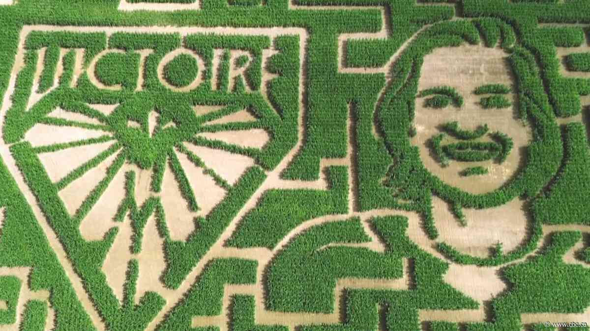 N.B. farmer honours Marie-Philip Poulin with corn maze | The Moment