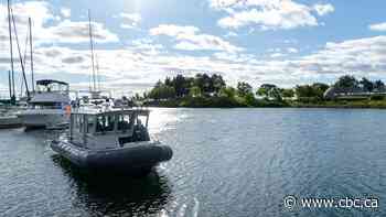 Thunder Bay, Ont., police, RCMP launch joint marine unit to patrol Lake Superior area