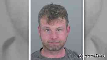 Hamilton man who shared actions online pleads guilty to drugging, sexually assaulting 2 more women