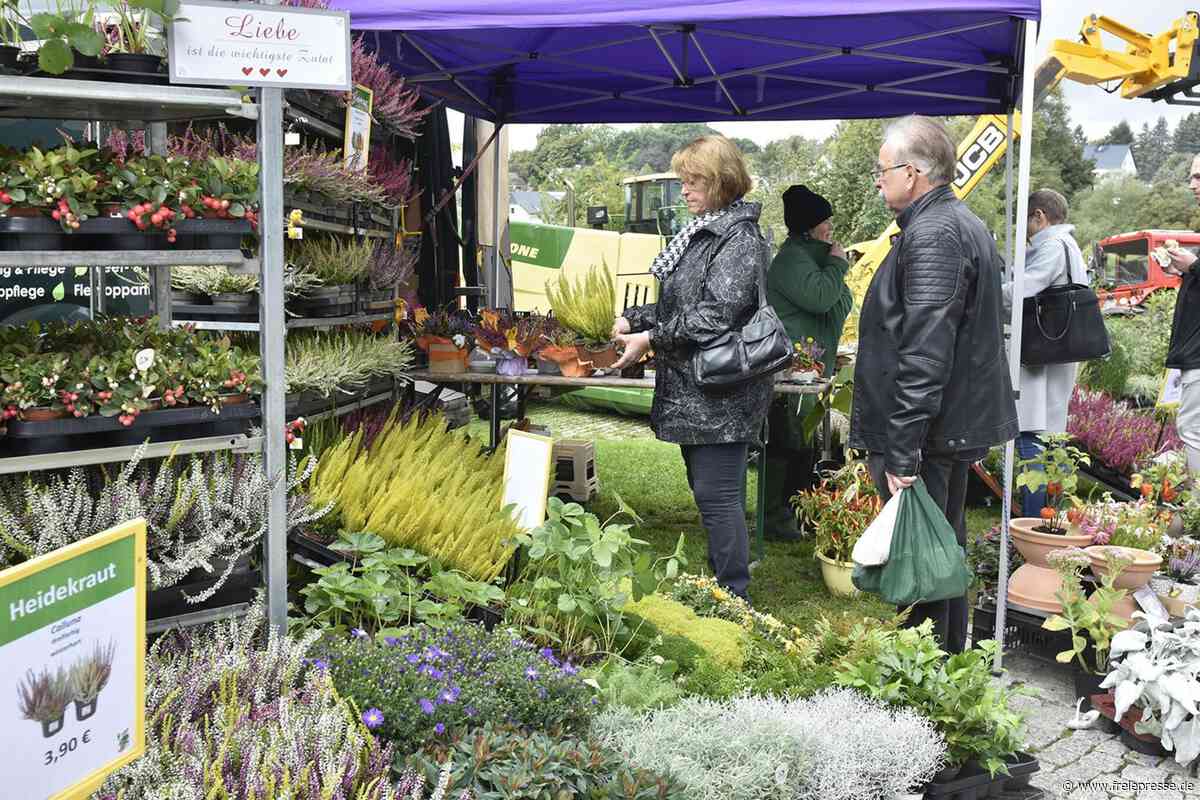 Beliebter Markt im Vogtland abgesagt: Das ist der Grund