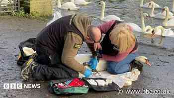 Wildlife rescue group opposes new angling club plans