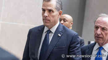 Memecoin van Hunter Biden crasht direct na lancering