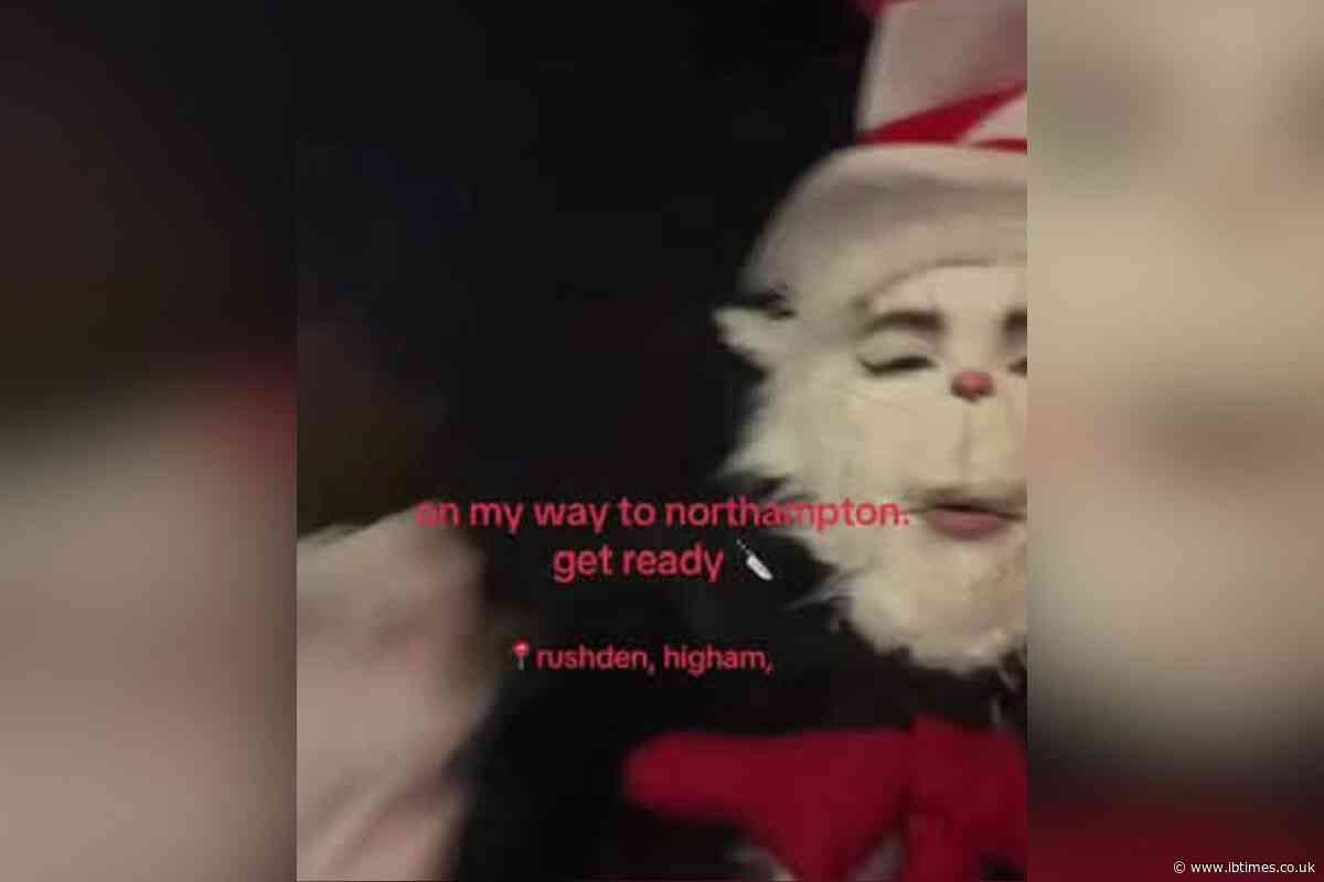 What Is the 'Cat in the Hat' Trend? Police Warn Parents Over Sinister AI Videos Targeting Schools