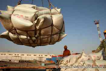China snaps up 1 million tons of American soybeans in massive trade surge ahead of Xi Jinping visit to Washington
